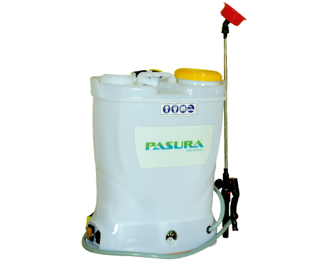 Pasura